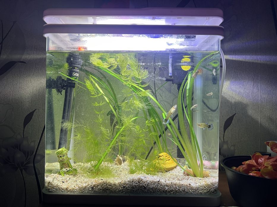 Акриловый аквариум