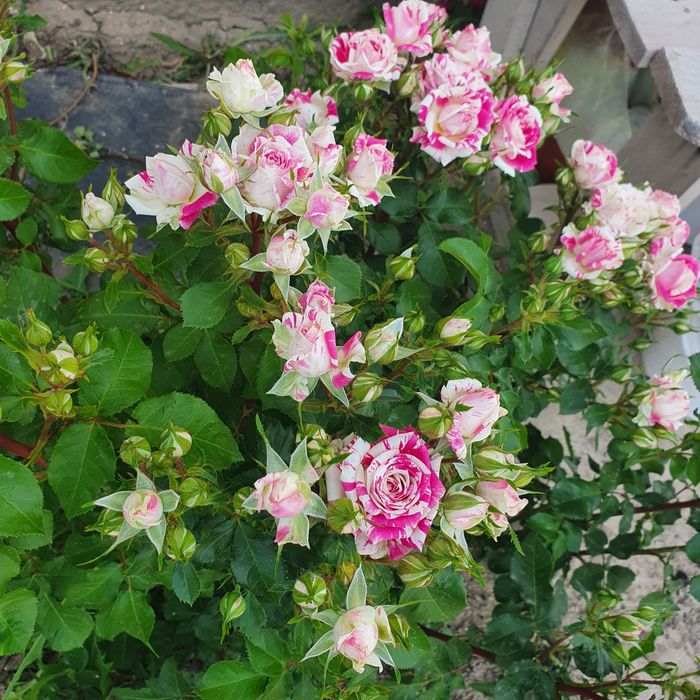 Продам дом или обмен на квартиру