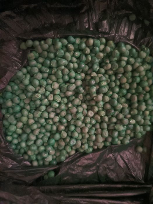 Семена Боми срочна продам