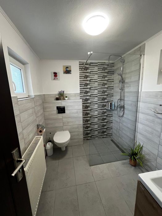Cabana Ava- Cabană de închiriat pe Valea Avrigului
