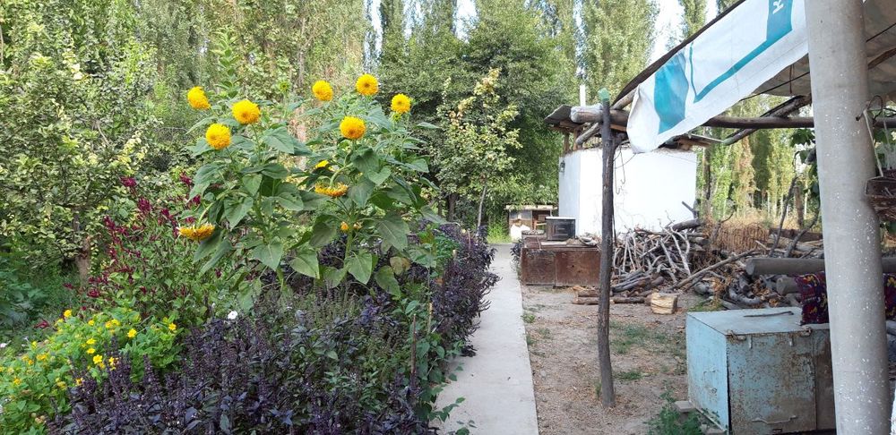 Дом огромный и участок