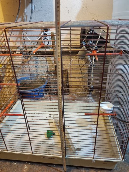 Клетка , кафез доста голям