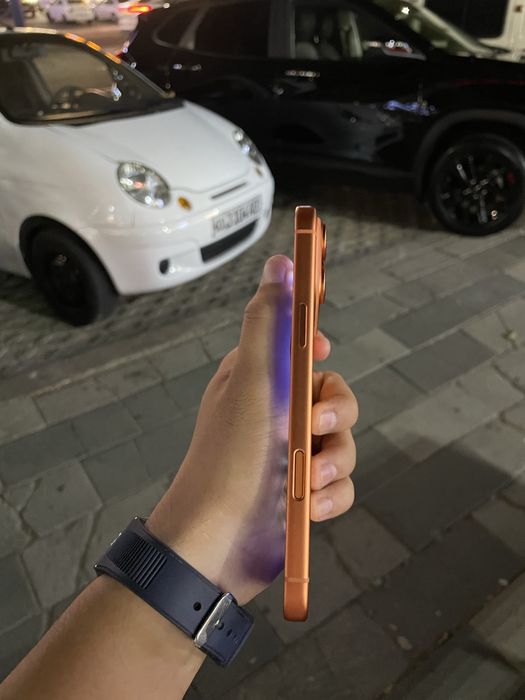 iPhone 17 pro max