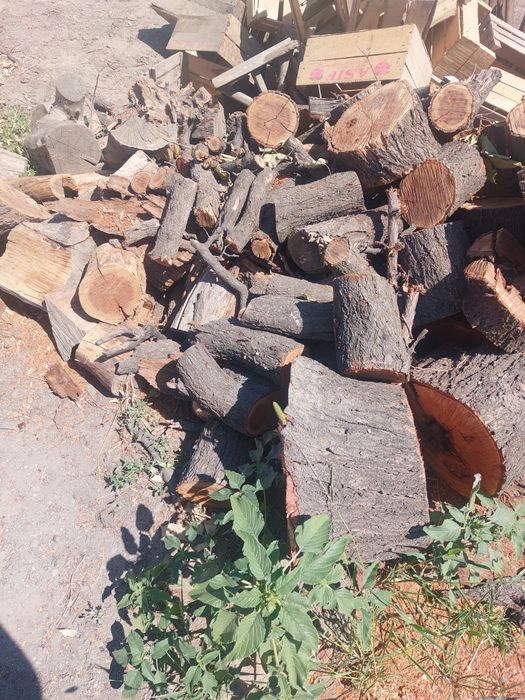 Отын, жіңішке және дөнбешіктер аралас