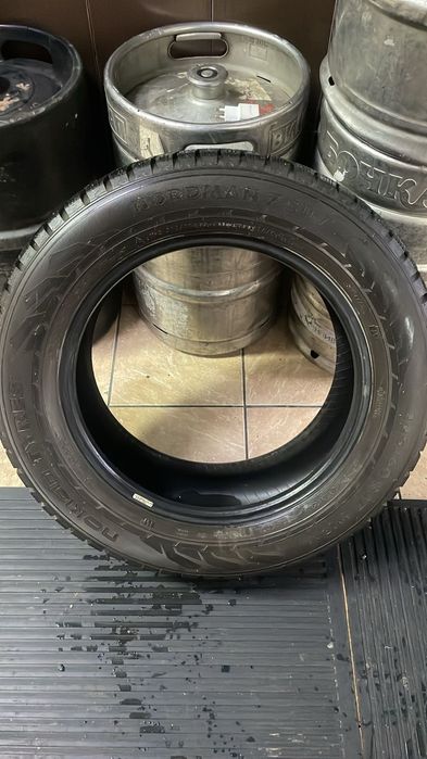 Зимние шины Nokion