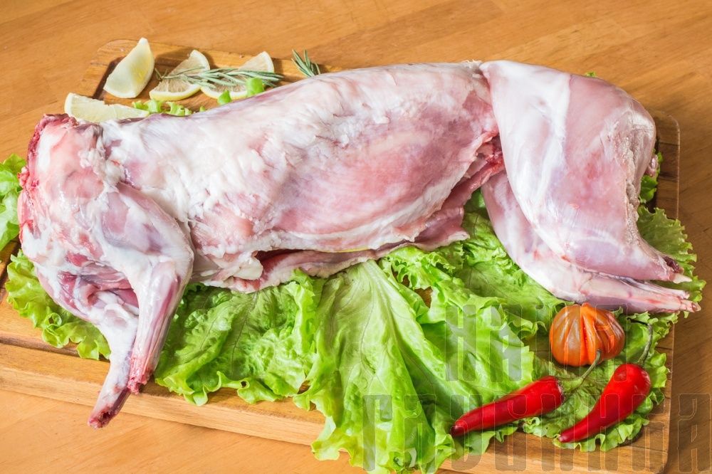 Кролик  (крольчатина)