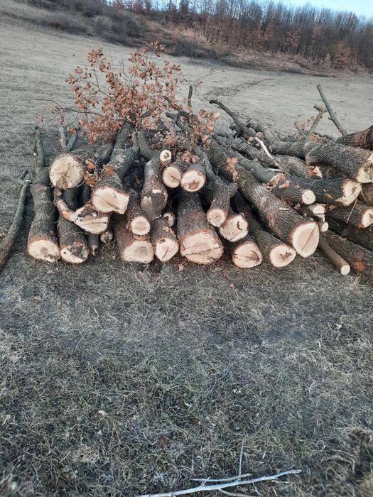 Vind lemne de foc fag carpen și ceroi la preț avantajos 1600camioneta