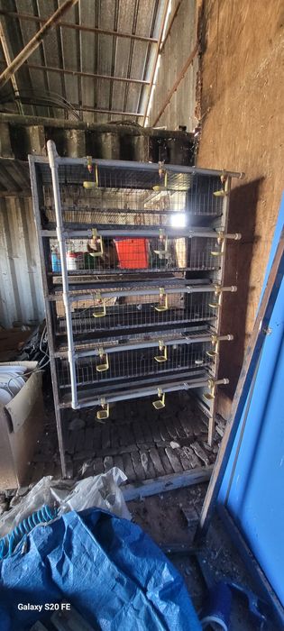 Клетка для содержания перепелов