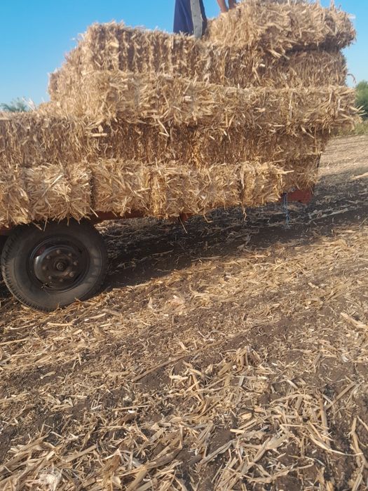 Baloti de coceni de vânzare