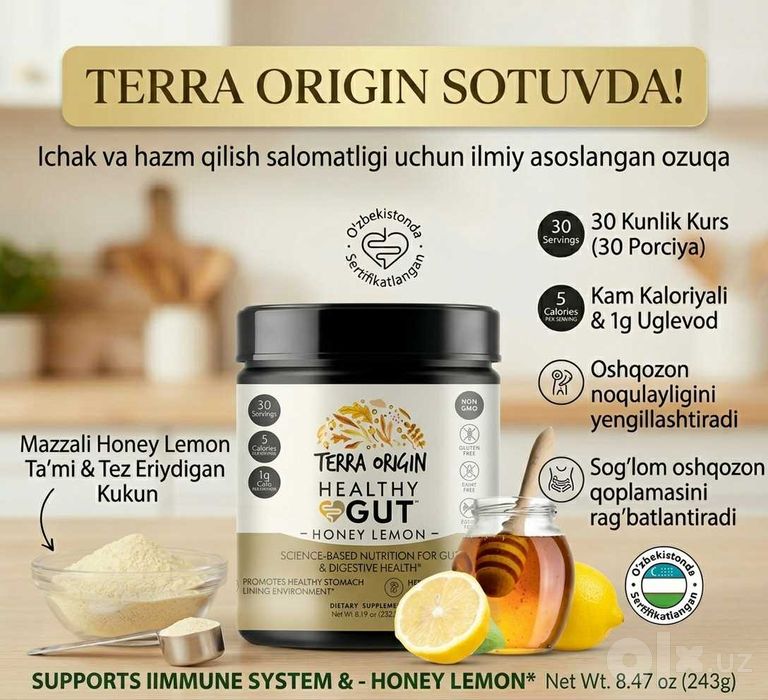 Healthy Gut Terra Origin