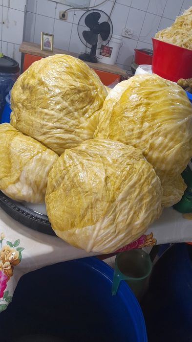 Varză murată tradițională de buna calitate