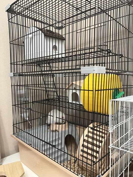 Продам клетку и хомяка