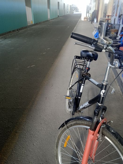 Arzon narxda yangi velosiped