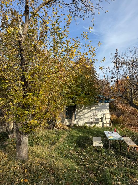 Дача "Обогатитель"