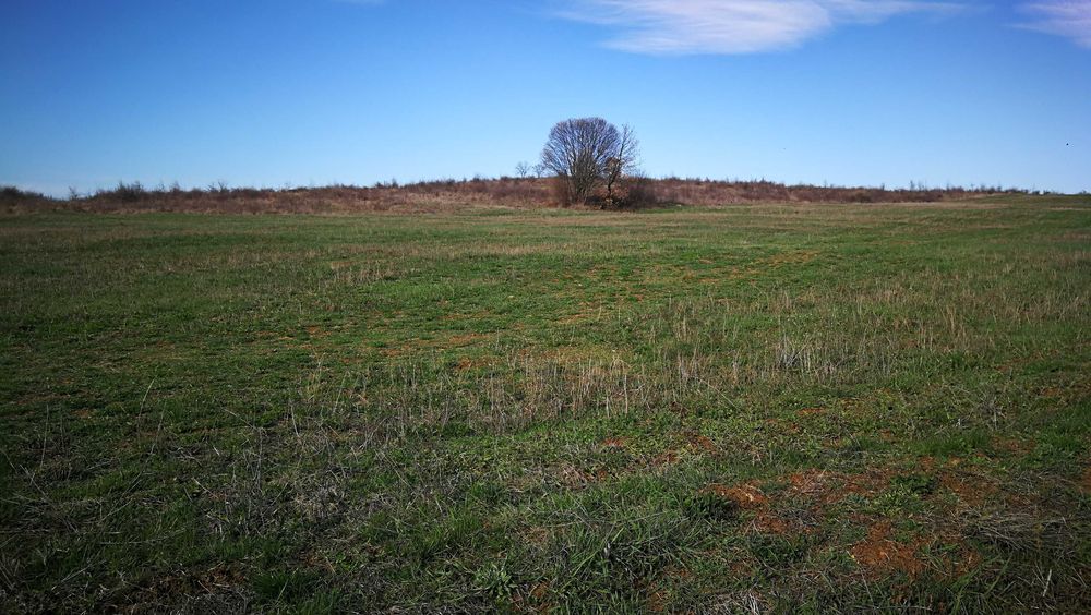 Продава се Парцел в с. Малка Верея, Област Стара Загора - 2000 кв.м за 10 €/кв.м - Снимка #3