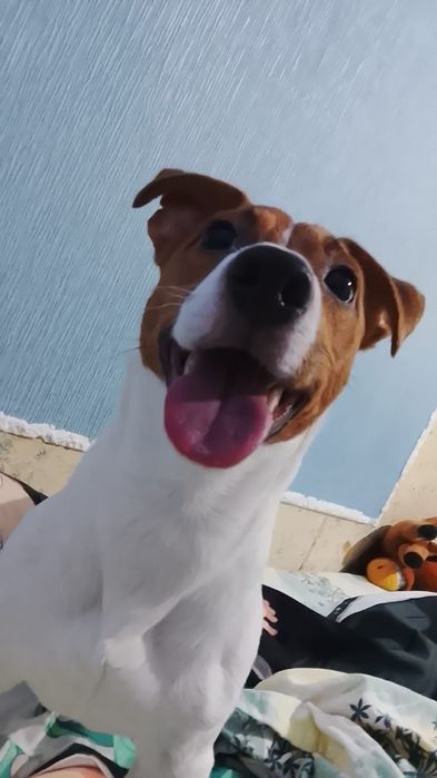 Мальчик ищет девочку