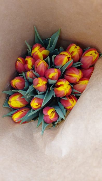 Тюльпаны есть в наличий