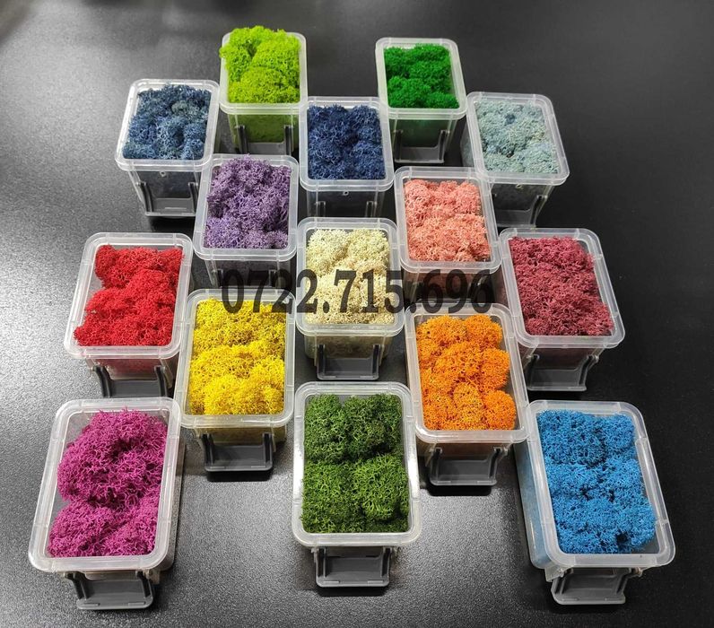 Licheni Bucuresti. Licheni Premium, importator direct