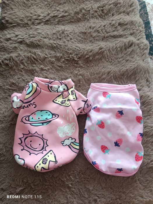 Туннель   для кошечки