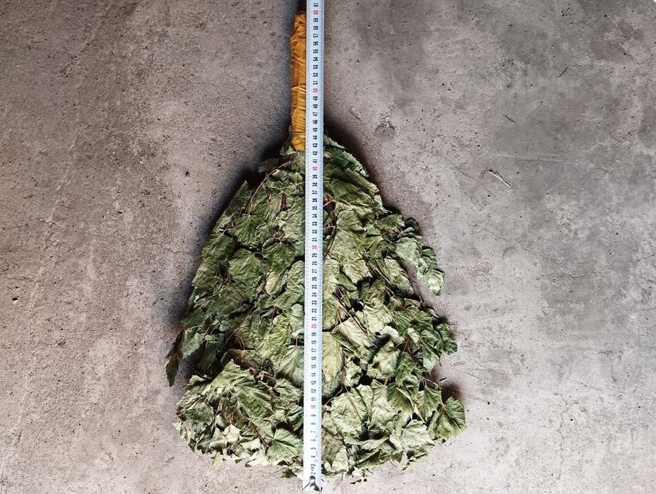 Березовый веник.