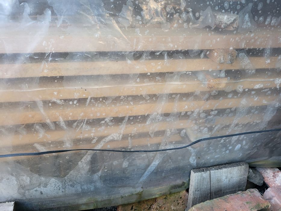 Vand 200 leturi uscate noi