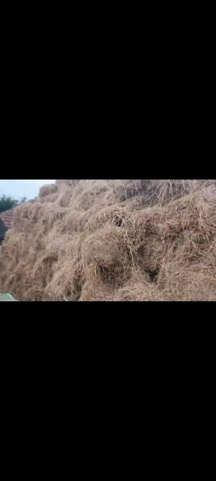 Baloți mici lucernă