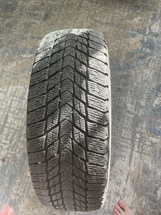 Автошины для машины