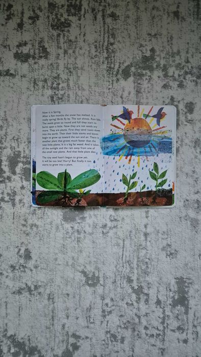 Carti noi Univers Eric Carle