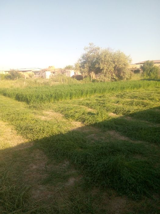 Ховли сотилади 15 соток