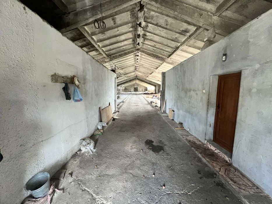 Продава се Промишлена сграда в с. Голямо Соколово, Област Търговище - 1300 кв.м за 90 €/кв.м - Снимка #5