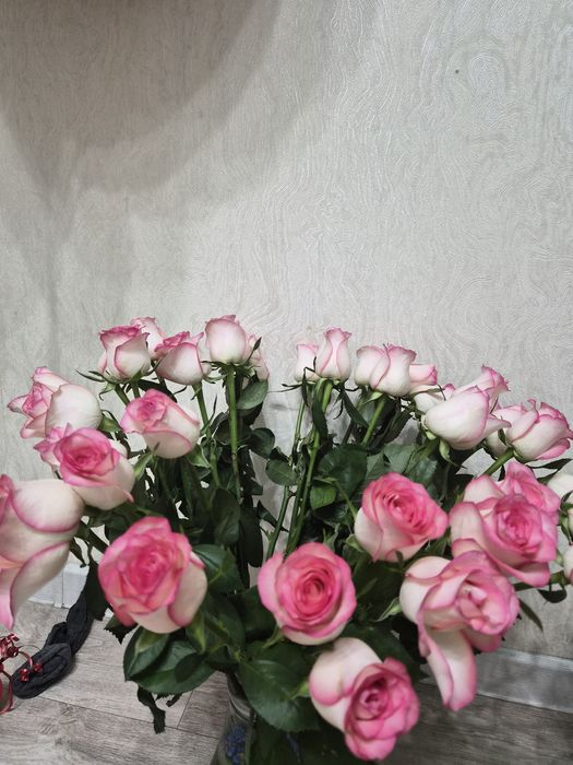 Гүлдер әдемі сатылымда