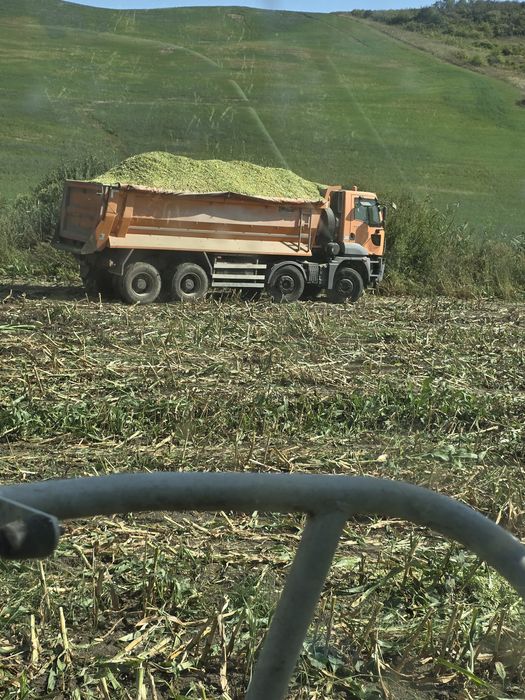 Siloz de porumb deosebit