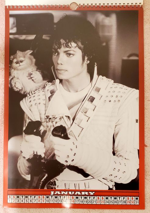 Colectie Michael Jackson Fanatici