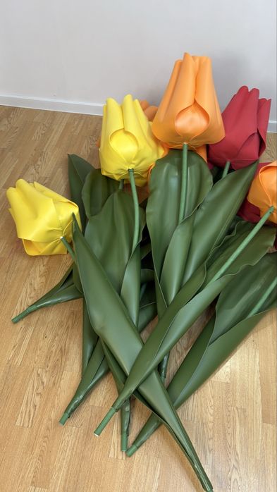 Большие Тюльпаны на Наурыз