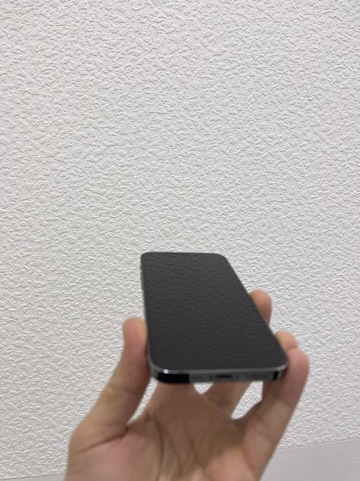 Iphone 12 pro graphit