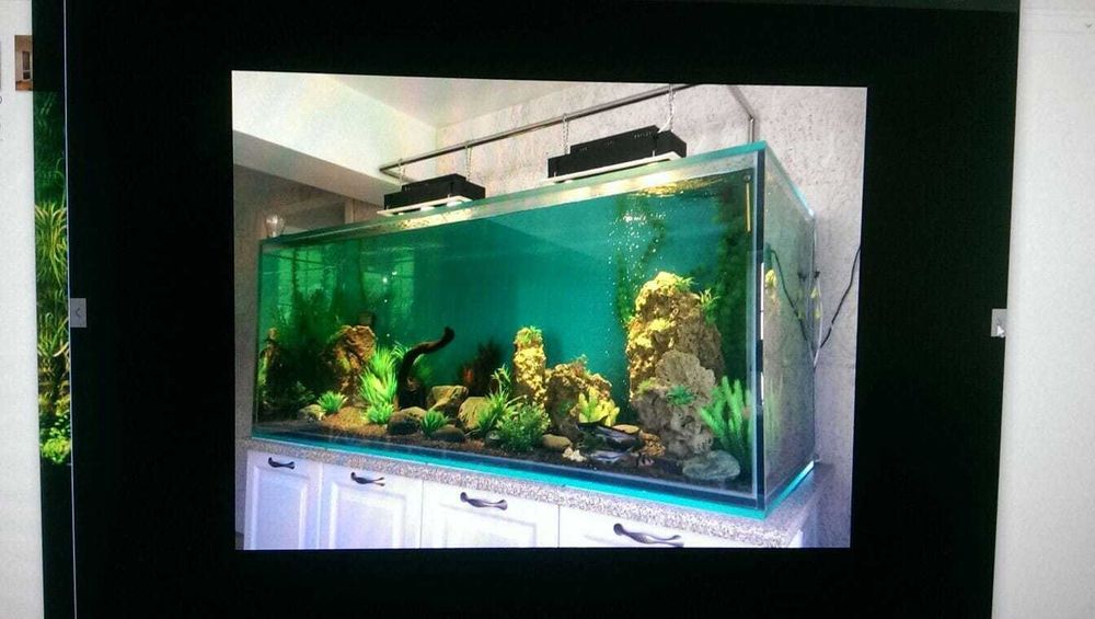 Аквариум вашей мечты «под ключ»