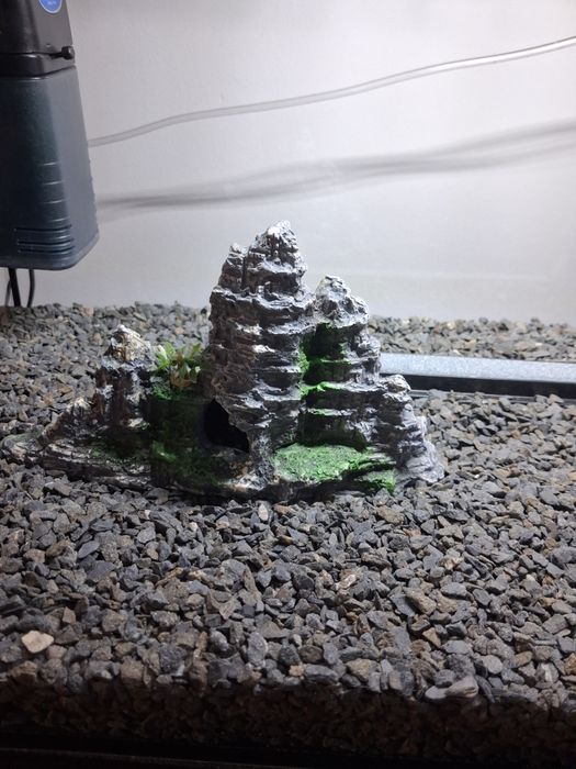 Vând acvariu  AQUAEL pești complet