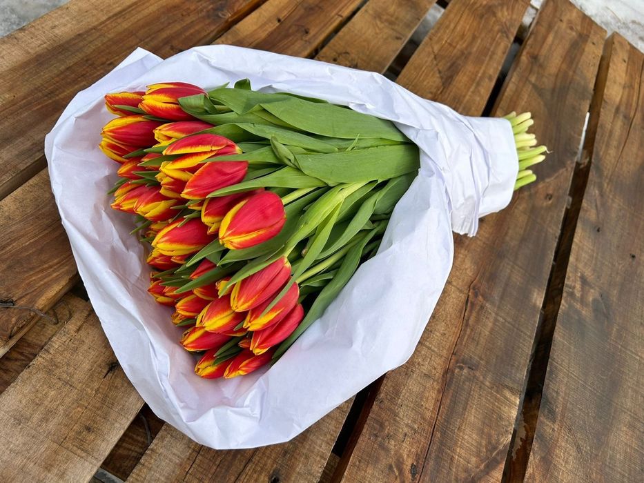 Предзаказ на ТЮЬПАНЫ