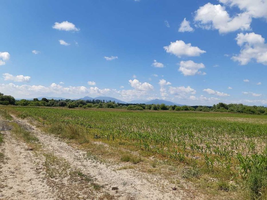 Teren agricol extravilan Podu Oltului la limita UAT Harman si UAT Prejmer (Lunca Calnicului) 2 euro mp