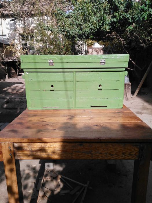 улей пчеловодческий.