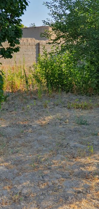 Ҳовли сотилади, Чироқчи тумани Каммунада 6 сотих ҳовли сотилади