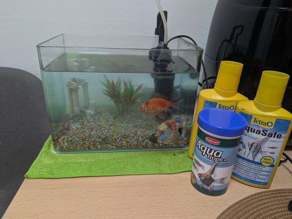 Vand pesti cu acvariu,filtru, tot completu