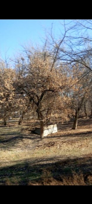 Таш область 2 с.3с.4с.6с.12с Земоя