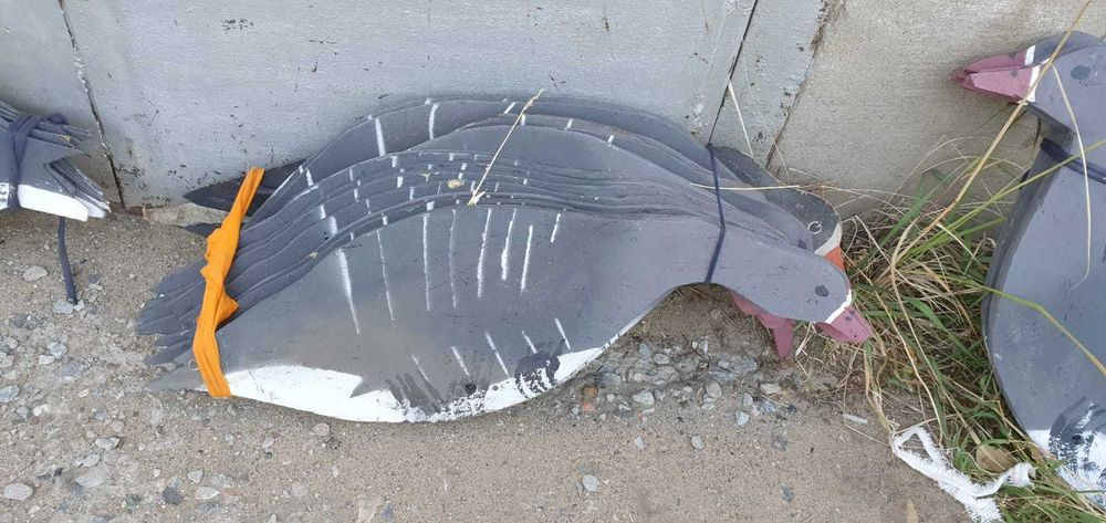 Продам профиля гусей