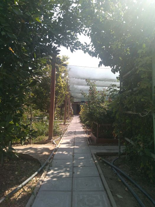 Продаётся дом в п. Талсуат