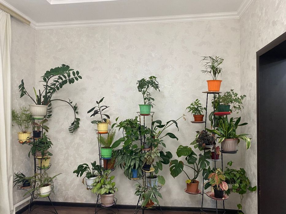 Цветы с подставкой