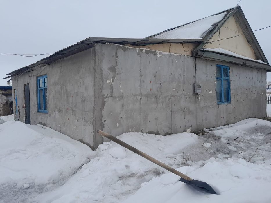 Продам дом село Дмитриевка