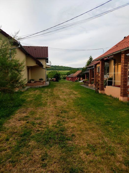 Proprietate 2 case + 1 ha teren Șintereag