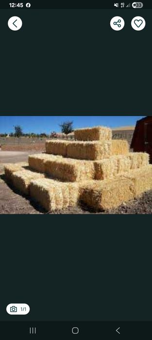 Vand baloti de fan si lucerna