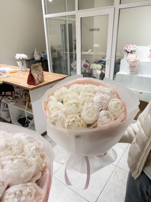 Голландские Майские пионы